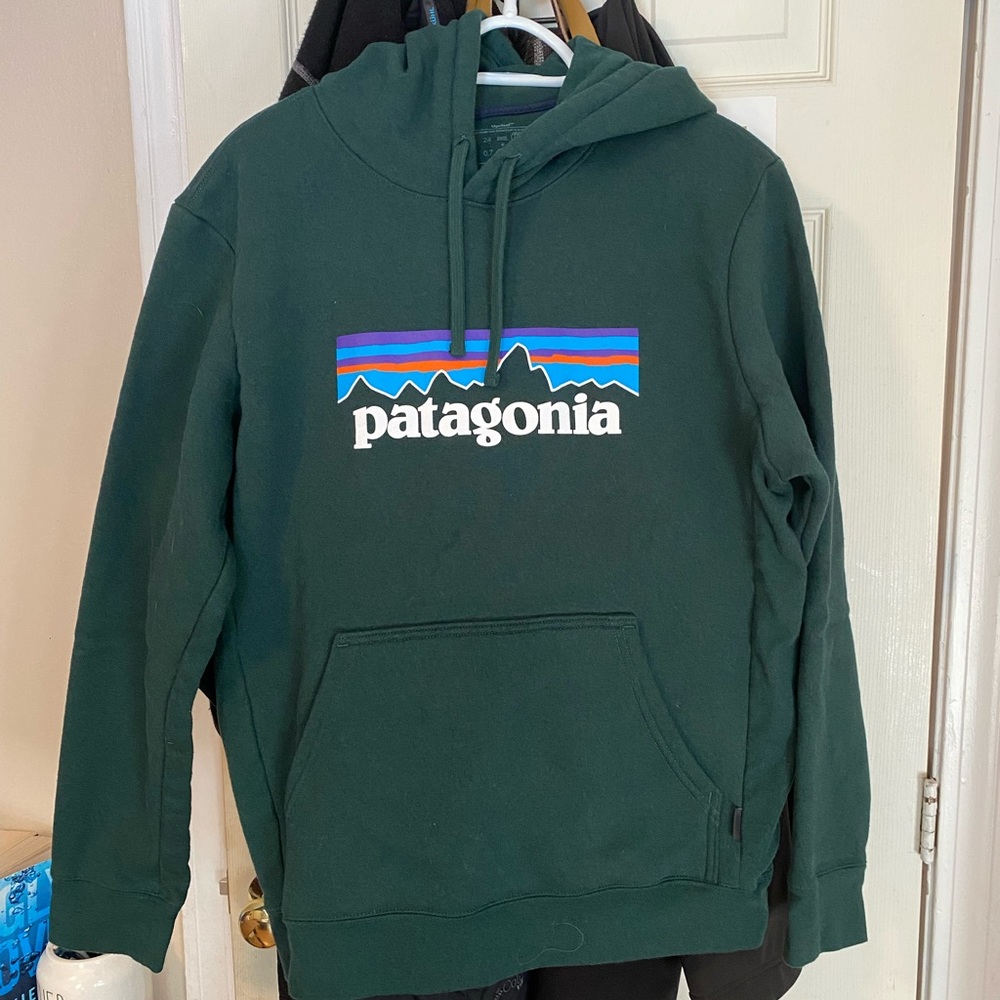Patagonia Green Hoodie with Multicolor Logo